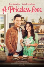 watch A Priceless Love free online