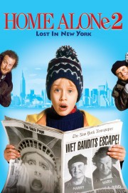 watch Home Alone 2: Lost in New York free online